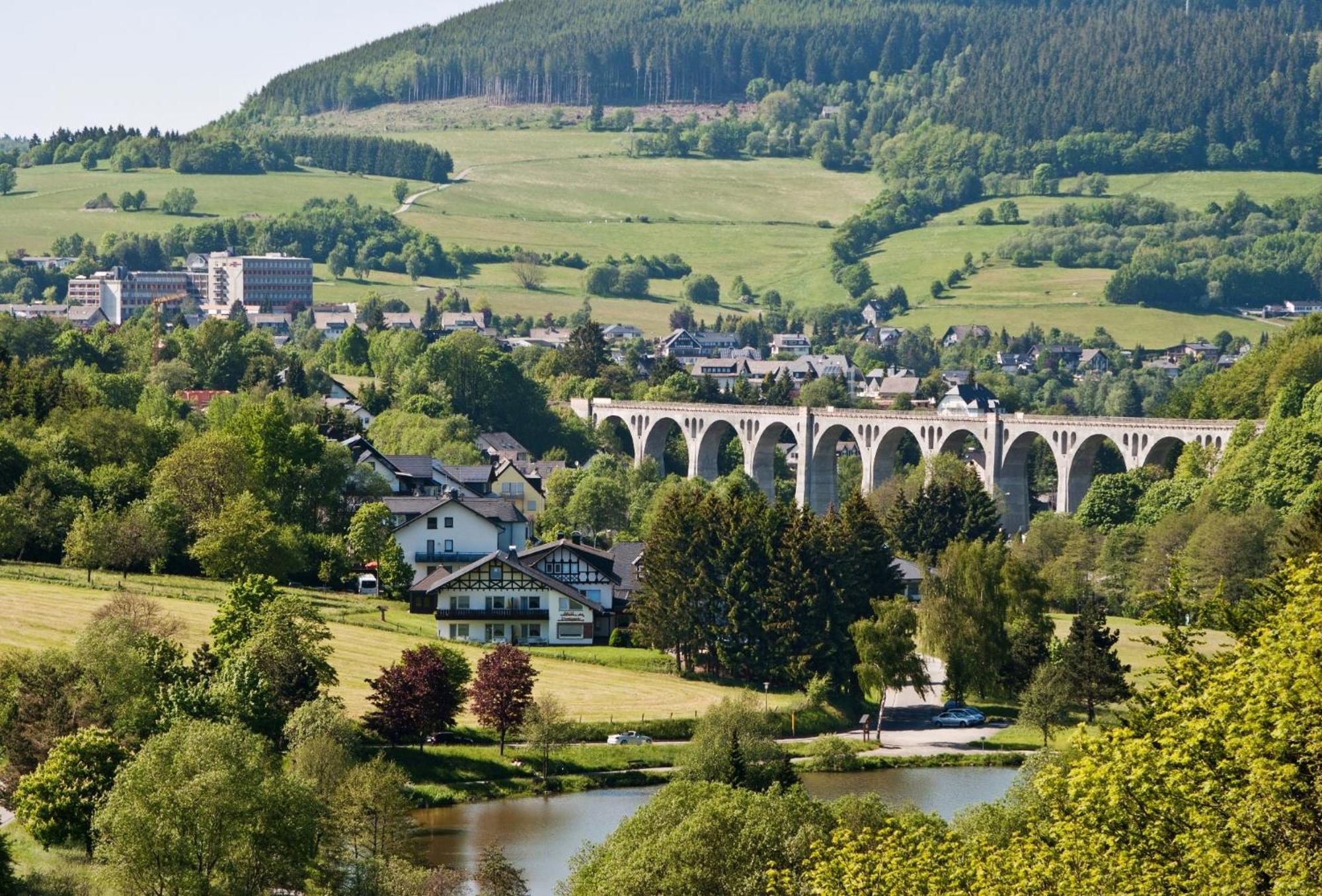 Komfort-Fewo Blickfang Willingen*** Виллинген Экстерьер фото